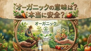 オーガニックの野菜